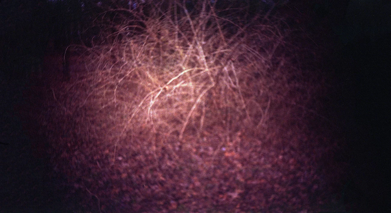 At Night