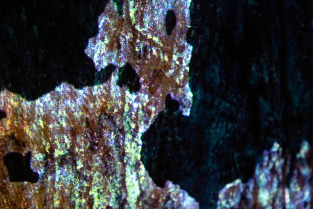 Echos ex terra